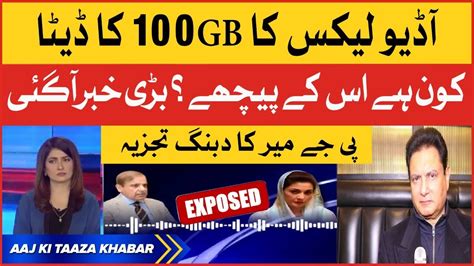 PM Shehbaz Govt Audio Leaked 100GB Of Data Exposed Parvez Jamil