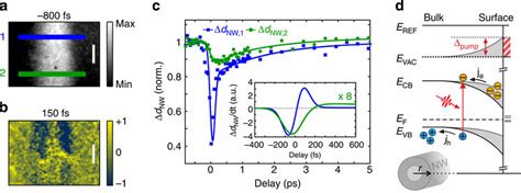 Femtosecond Imaging Of Ultrafast Photocurrents In Inp Nws A