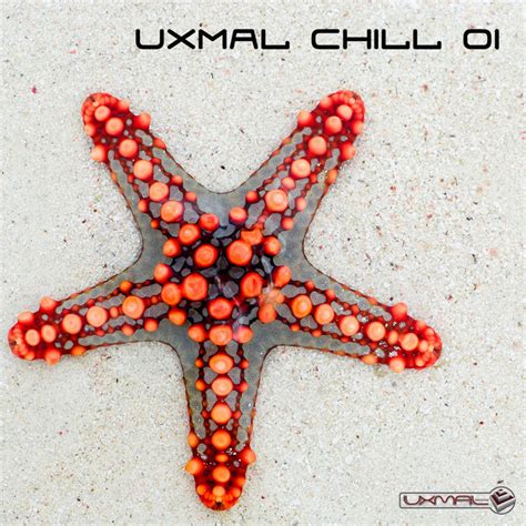 Uxmal Chill 01 Compilação de Vários intérpretes Spotify