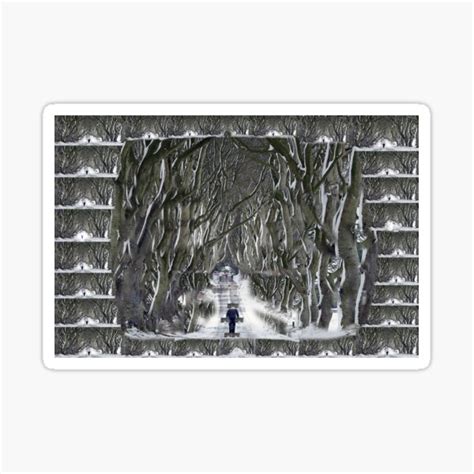 "Dark Hedges in winter" Sticker by ClassicTower | Redbubble