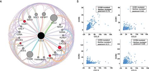 Frontiers Ccl5 Mediates Breast Cancer Metastasis And Prognosis