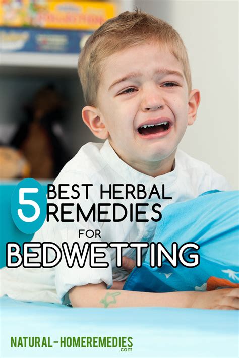 5 Best Herbal Remedies For Bedwetting Natural Home Remedies And Supplements