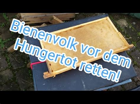 Bienenvolk Vor Dem Hungertot Retten F Ttern Im Winter Bienen Im Zu