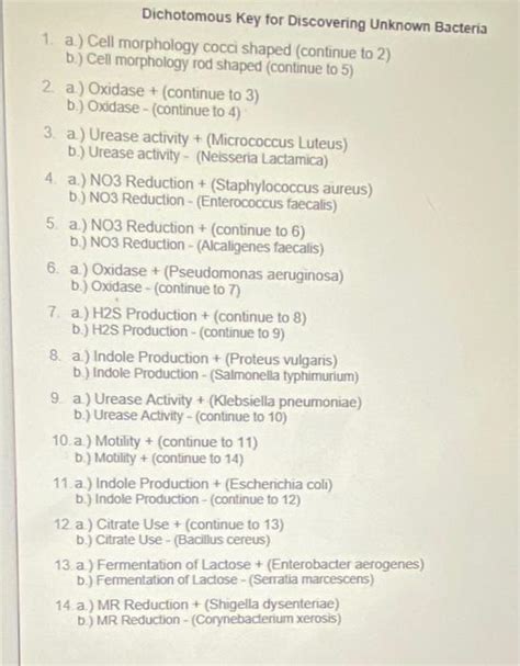 Solved Dichotomous Key For Discovering Unknown Bacteria 1