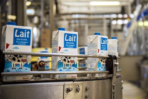 Crise Du Lait En Alg Rie Panique Au Sommet