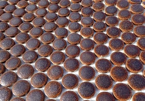 25 Tiles Penny Rounds Round Mosaic Tiles Wheat Brown Ceramic Tiles 2 Cm Or 75 Inch Flooring