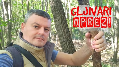 Berba Gljiva Gljivari Oprez Ovome Se Nisam Nadao Youtube