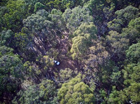 Cape Meringo Hipcamp In Congo New South Wales