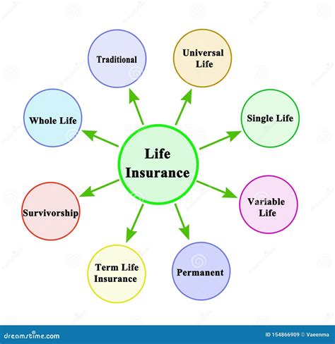 Types of life insurance stock image. Image of concept - 154866909