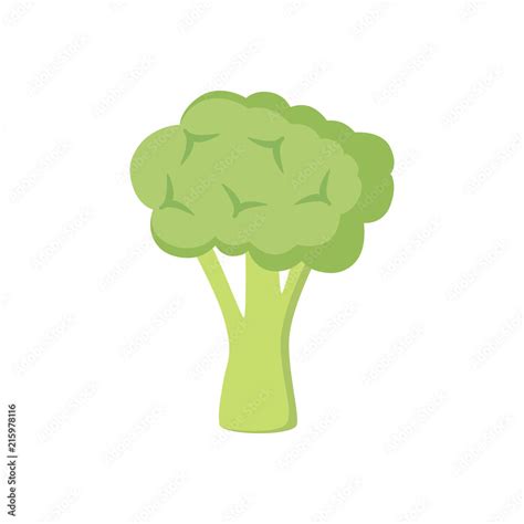 Colorful broccoli clipart cartoon. Broccoli vector illustration. Stock ...