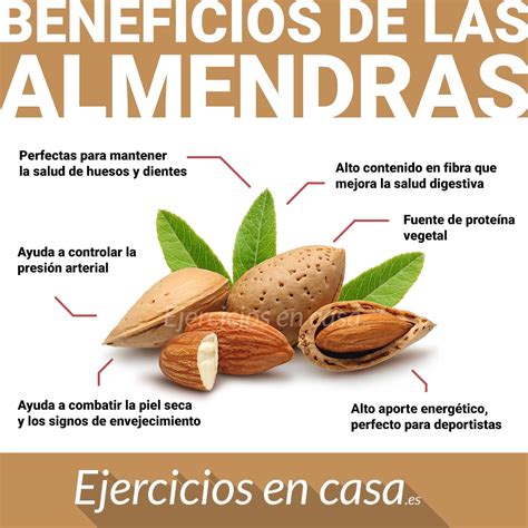 Beneficios De Las Almendras Y Sus Propiedades Ejercicios En Casa