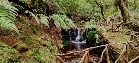 Madeira 2024 Parque Florestal Das Queimadas Is A Natural T Flickr