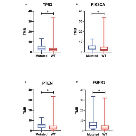 Association Of Gene Mutations With Tumor Mutational Burden Tmb Tmb Download Scientific