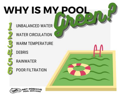 How To Clean A Green Pool Clean Your Green Pool Fast