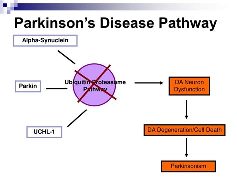 Ppt Parkinsons Disease Powerpoint Presentation Free Download Id4385699