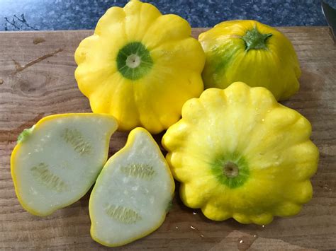 Patty Pan Squash Seeds AKA Flying Saucer Squash Only 50 Days Etsy