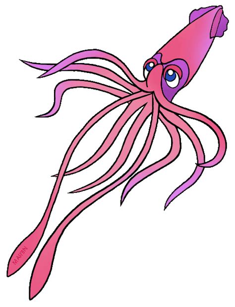 Squid Clip Art Clip Art Library