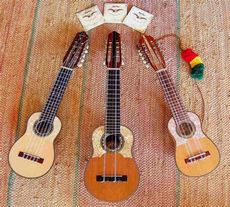 Enciclopedia de Cordófonos La diversidad del charango