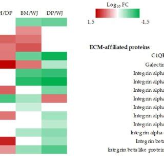 Heatmaps Of Differentially Expressed Proteins In The Following