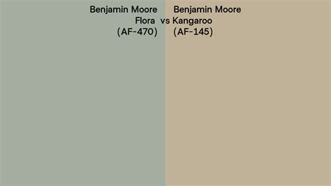 Benjamin Moore Flora Vs Kangaroo Side By Side Comparison