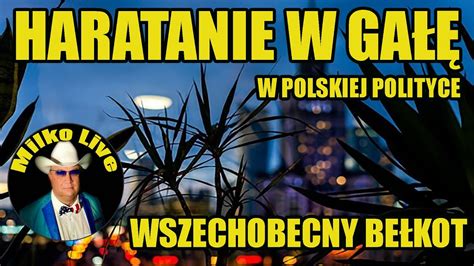 Polityczne Haratanie W Ga Bezrozumny Be Kot I Trudne Wnioski Papuga