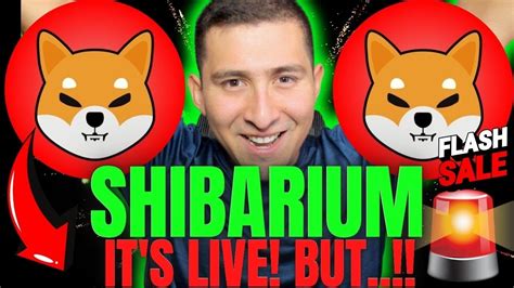 Shiba Inu Shibarium Is Live What Happened Shib Bone Crash Youtube