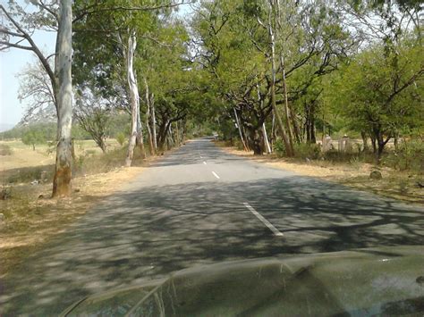 Travel Stories of India: Horsley Hills - Road Trip from Bangalore