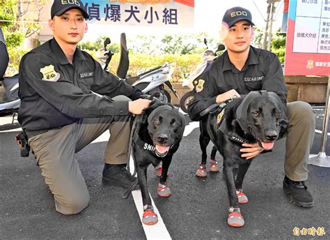 總統大選「安維八號」上路 11隻偵爆犬 防爆先鋒 政治 自由時報電子報