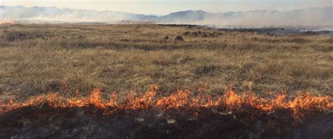 New Savanna Burning Abatement Tool Supports Latest Methodology