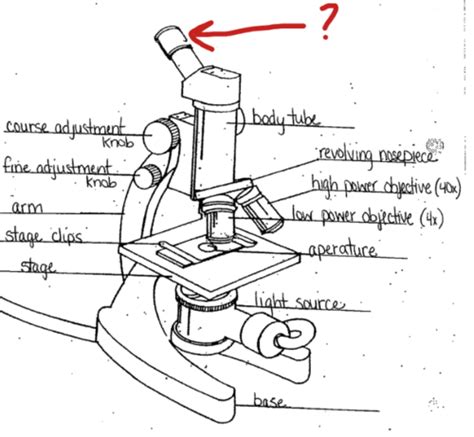 Microscope Parts Flashcards Quizlet