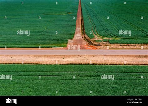 Giant Soy Fields Sinop Mato Grosso Brazil Stock Photo Alamy