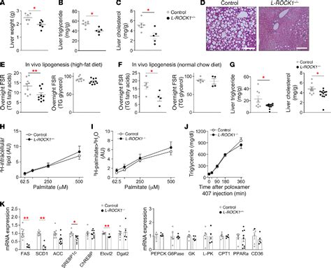 Figure From Rho Kinase Ampk Axis Regulates Hepatic Lipogenesis During