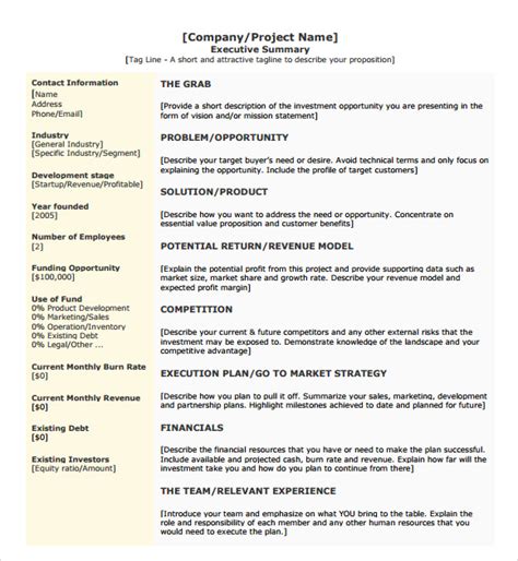 Project Executive Summary Template Word Database