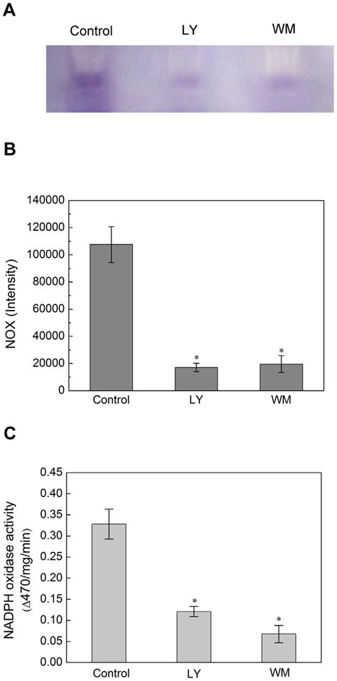 Pi K Inhibitors Suppress The Activity Of Nadph Oxidase In Seed