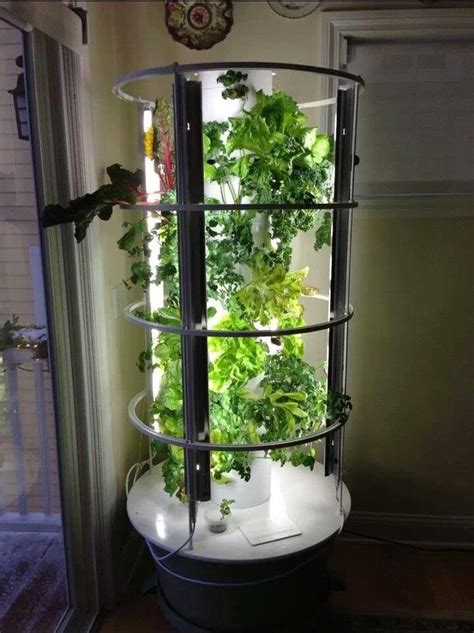 Indoor tower garden tips | Gary Poste