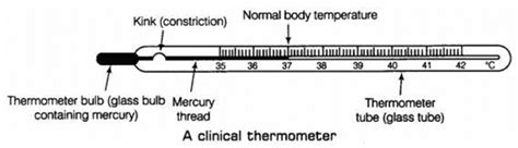 Recording Of Body Temperature Human Anatomy Physiology Practical