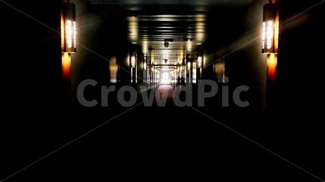 cinekoon