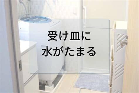 洗濯パン（防水パン）に水がたまるトラブルの修理 多摩水道修理サービス