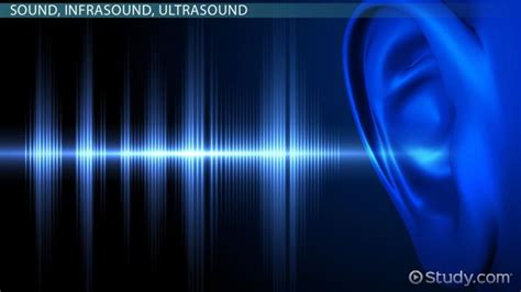 Infrasound Definition, Frequency & Effects - Lesson | Study.com