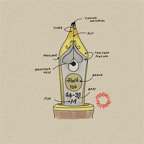 Fountain Pen Anatomy - Anatomical Charts & Posters