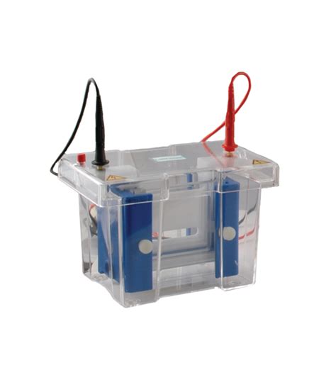 ENDURO™ Vertical Gel Electrophoresis System | Labnet