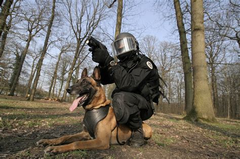 Les Chiens Dassaut Du RAID FIPN SDLP