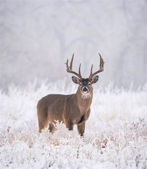 Calgary Heritage Roasting Company