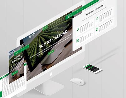 Dise O Y Desarrollo Web Ui Projects Photos Videos Logos