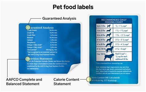 A Guide To Pet Food Labelling Packaging Technology Today