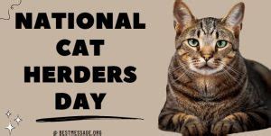 National Cat Herders Day Quotes, Wishes, Messages