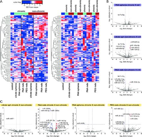 Mirna Expression Changes After Hdf Cells Exposure To Aunps A