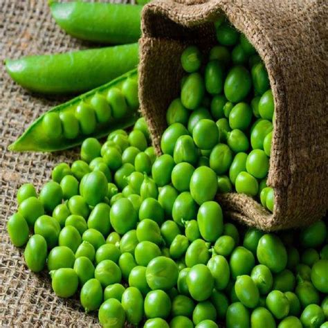 A Grade Green Peas Gunny Bag Packaging Size Kg At Best Price In Satara