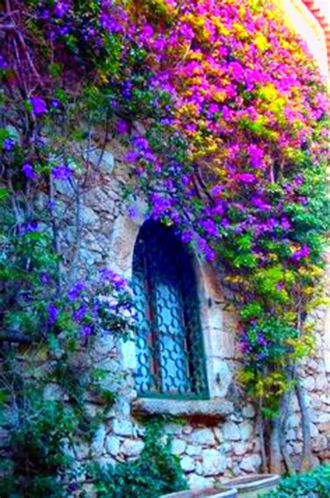 Pin By Almadiana Silva Amado On Play Of Colors II Beautiful Gardens