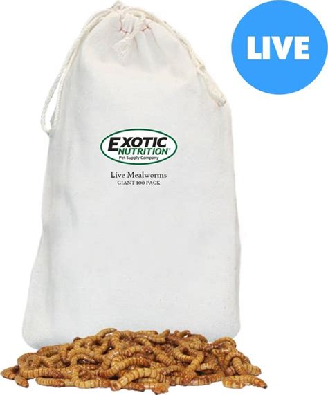 Exotic Nutrition Live Mealworms Reptile Food Giant Count Chewy